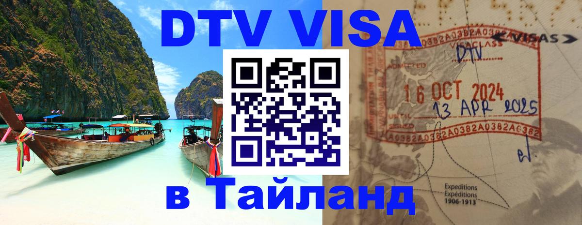 Оформление DTV визы под ключ: стоимость и тарифы, только загранпаспорт - Димитровград  03.10.2025 